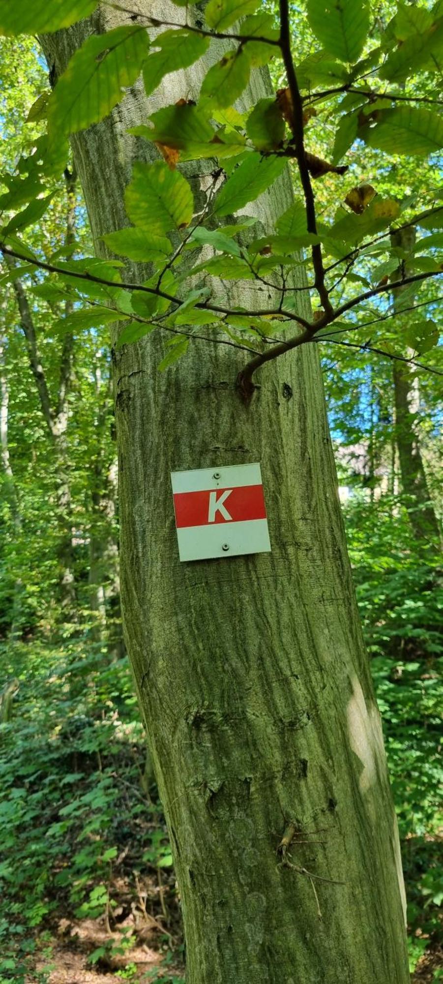 Fewo Zur Alten Tischlerei Herzberg am Harz Εξωτερικό φωτογραφία